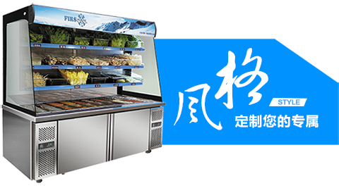 國標(biāo)系列商用冷柜,商用冷柜廚房系列